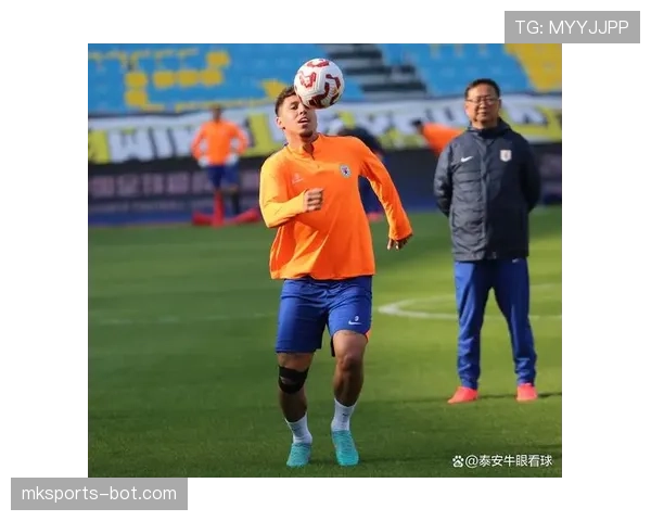 山东泰山阵容老化问题逐步显现,对联赛竞争力造成潜在影响 山东泰山阵容老化问题逐步显现,对联赛竞争力造成潜在影响
